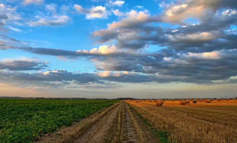 تاريخ الزراعة في دولة البحرين